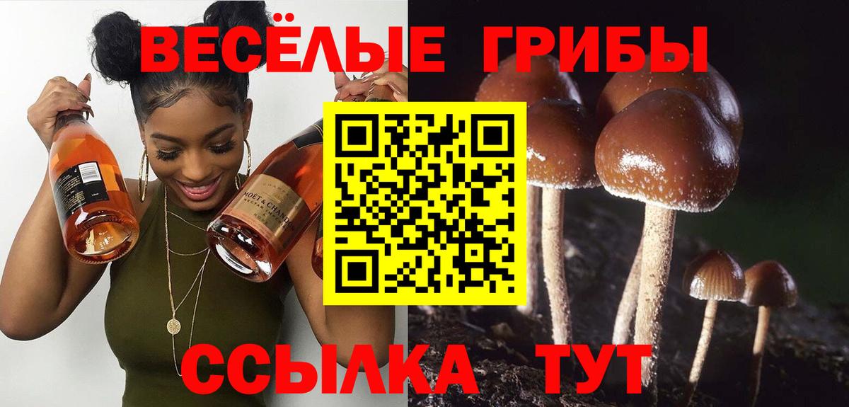 Благодарный  Галлюциногенные грибы Cubensis  Вход с VPN 